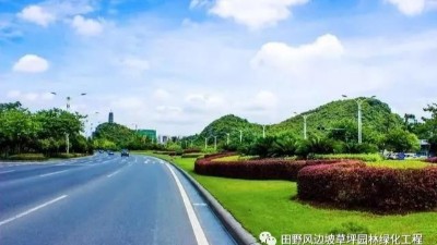 道路綠化中，城市干道植物應怎樣配置？