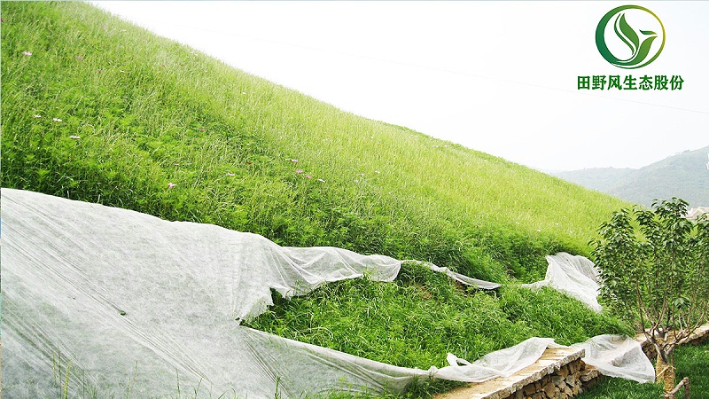 邊坡綠化、生態(tài)防護(hù)