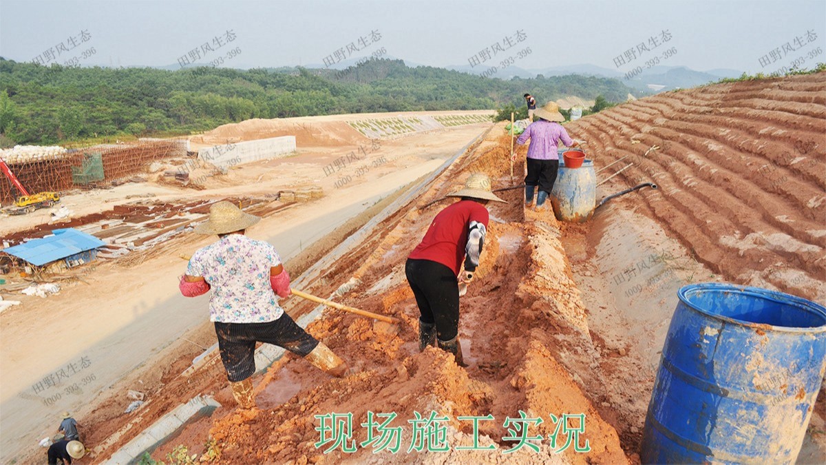 廣深港鐵路廣東段鐵路邊坡植草工程