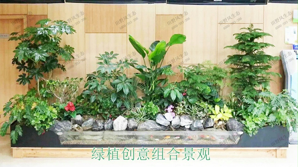 廣州中信廣場室內(nèi)植物租賃合作展示