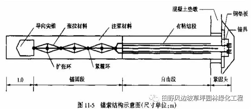 微信圖片_20200603082710