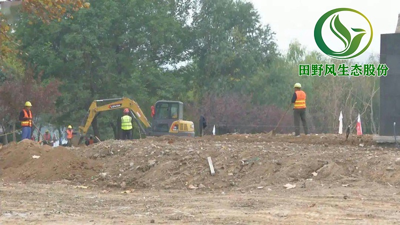 園林綠化，景觀綠化