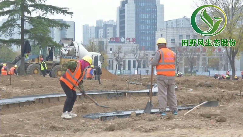 園林綠化，景觀綠化