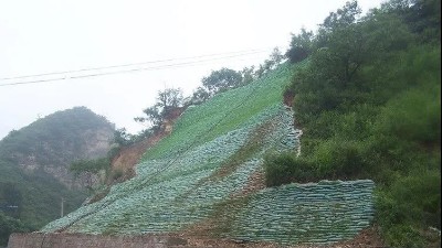 生態(tài)袋——環(huán)境保護(hù)、生態(tài)綠化、水土保持三位一體的生態(tài)護(hù)坡系統(tǒng)