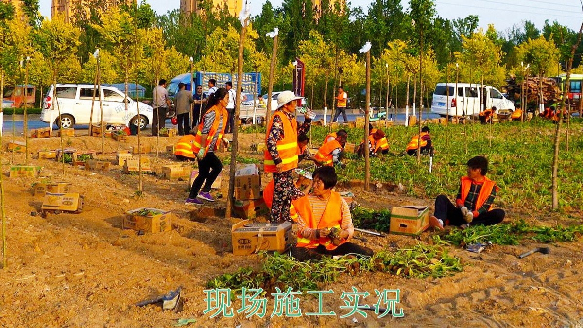 河北百花谷休閑綜合體項目