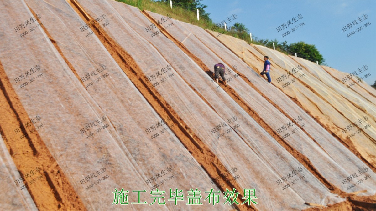 武深高速?gòu)V東段高速公路邊坡噴草