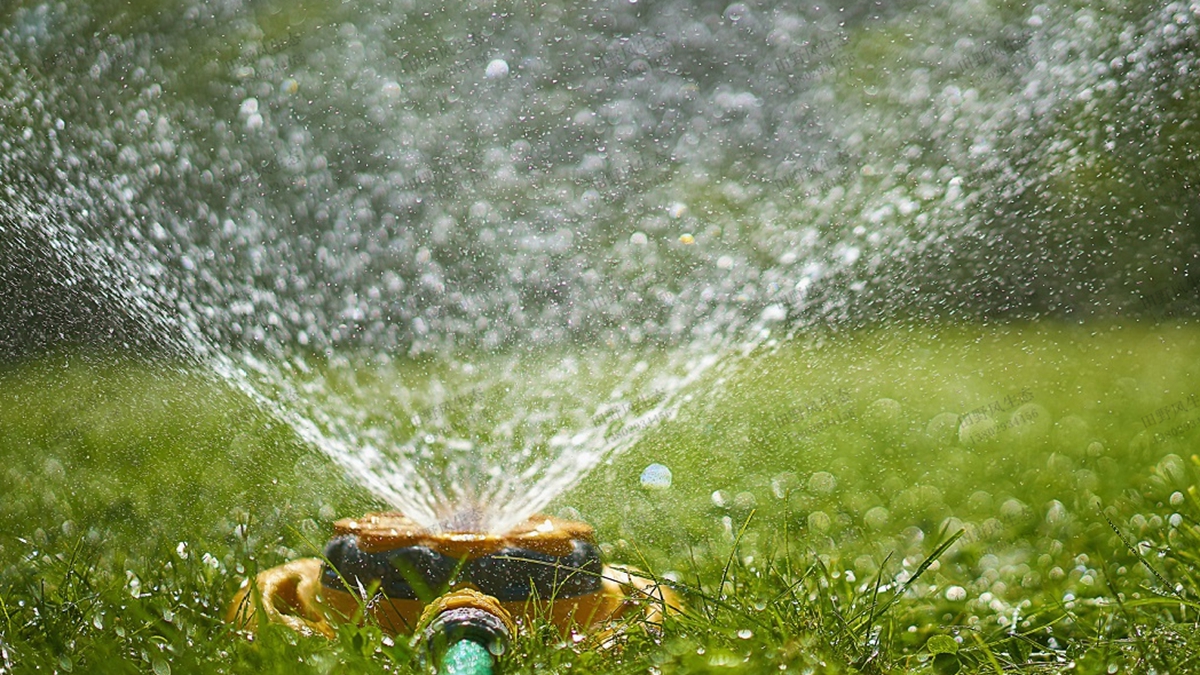 草坪澆水