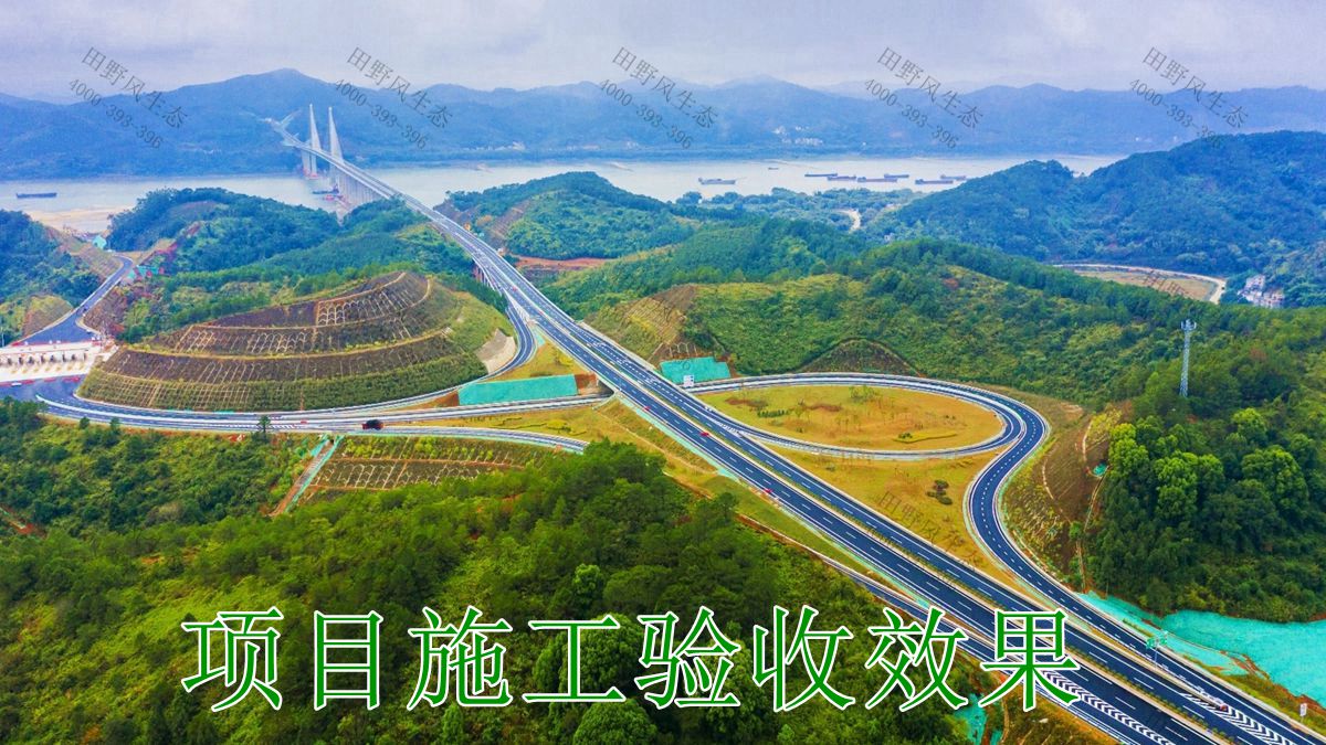 大潮高速公路邊坡復綠工程