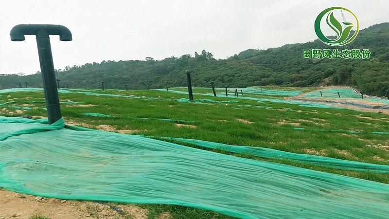 植草復(fù)綠,邊坡植草