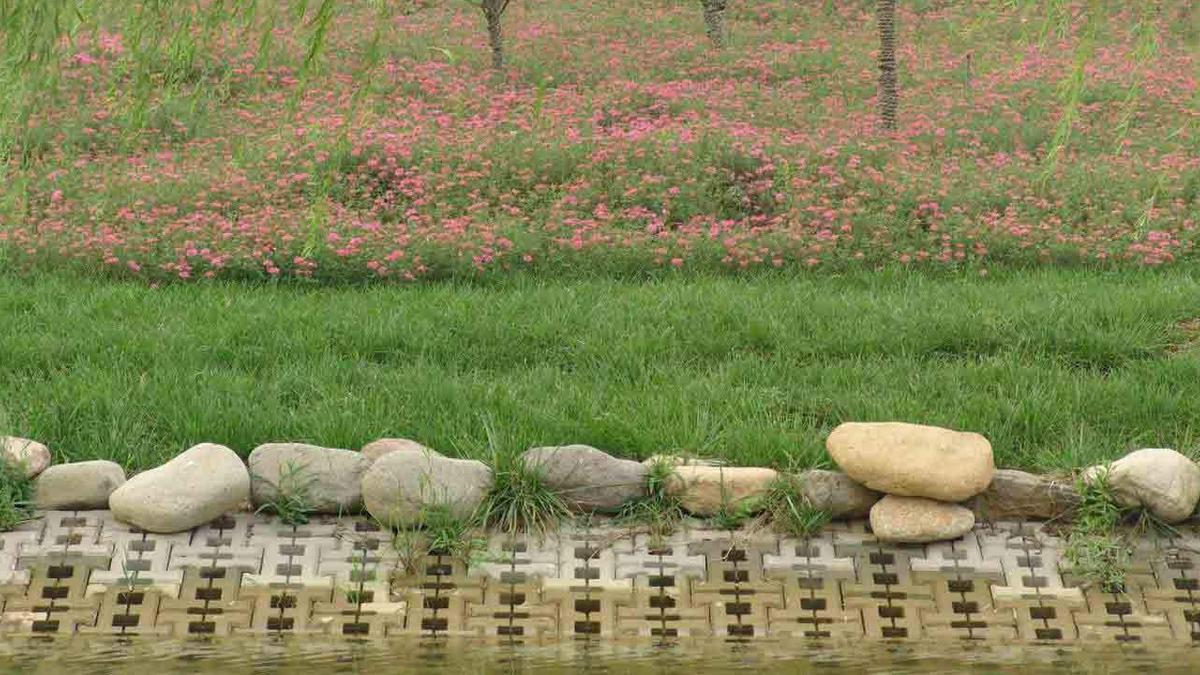 河道生態(tài)護坡綠化