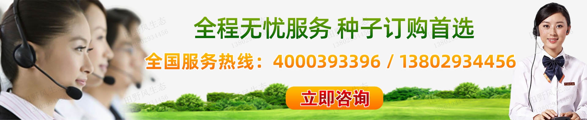 草種子花種子資材設(shè)備廠家供應(yīng)商批發(fā)