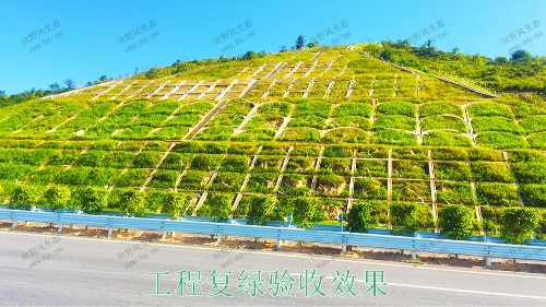 包茂高速高州段高速公路邊坡噴播工程