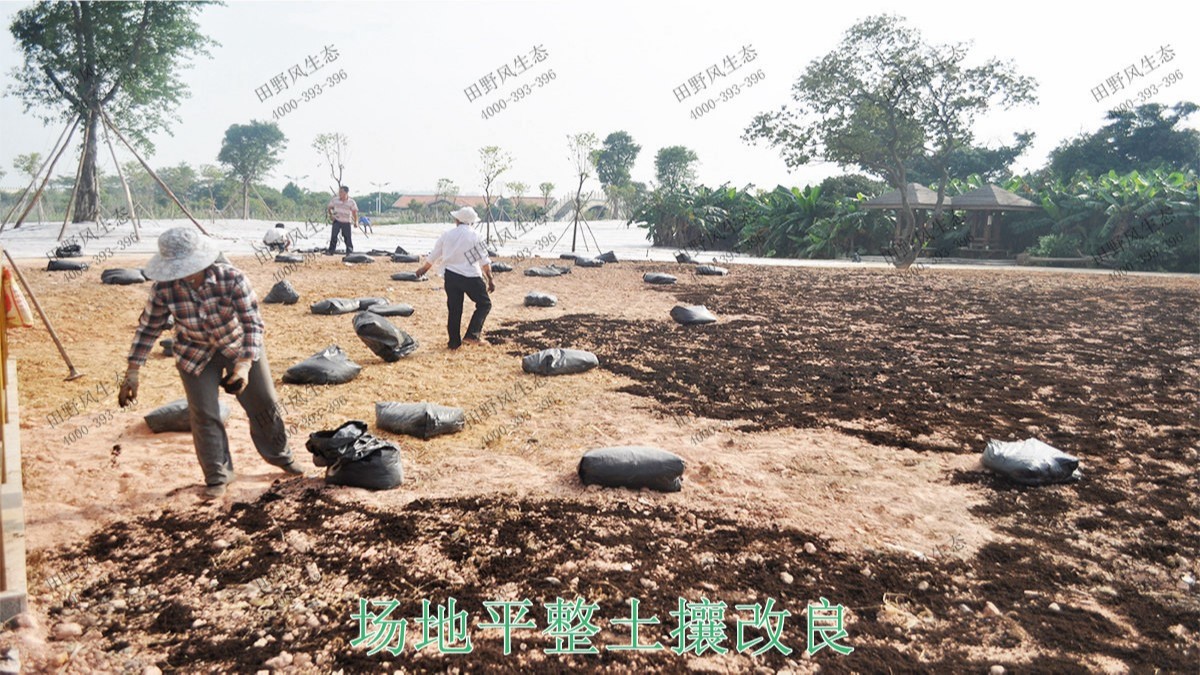 廣州海珠湖濕地公園花海工程