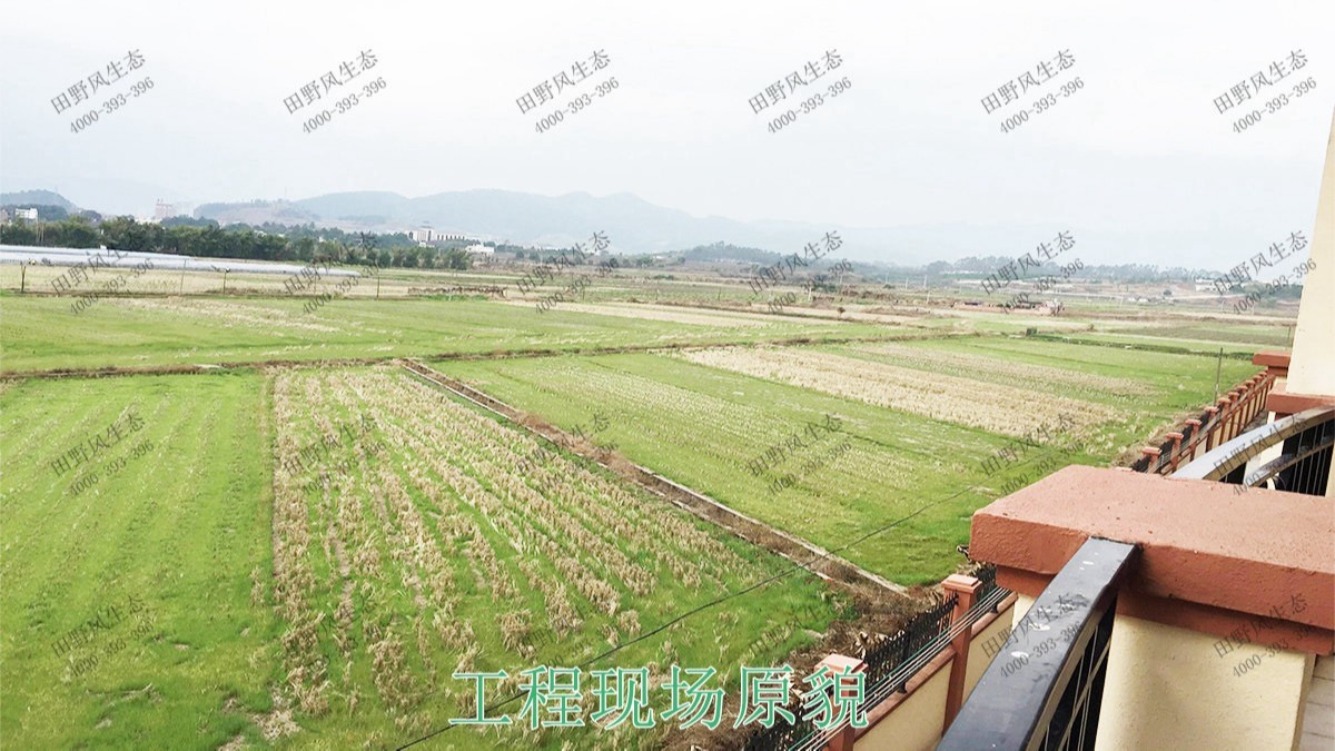 廣東丹霞山國(guó)家森林公園花海工程