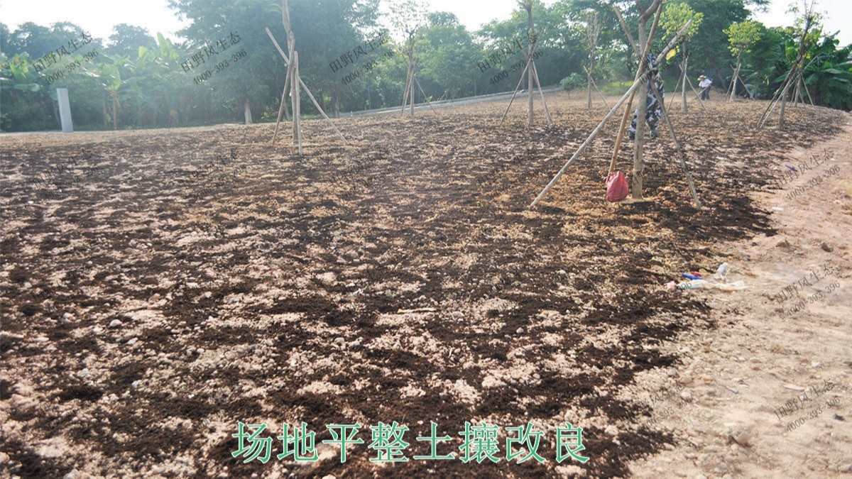 廣東丹霞山國(guó)家森林公園花海工程