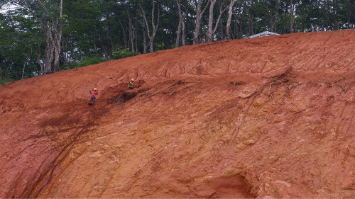 濟廣高速平遠(yuǎn)段高速公路邊坡復(fù)綠工程