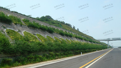 邊坡綠化對植物的選擇原則，有哪些植物推薦？