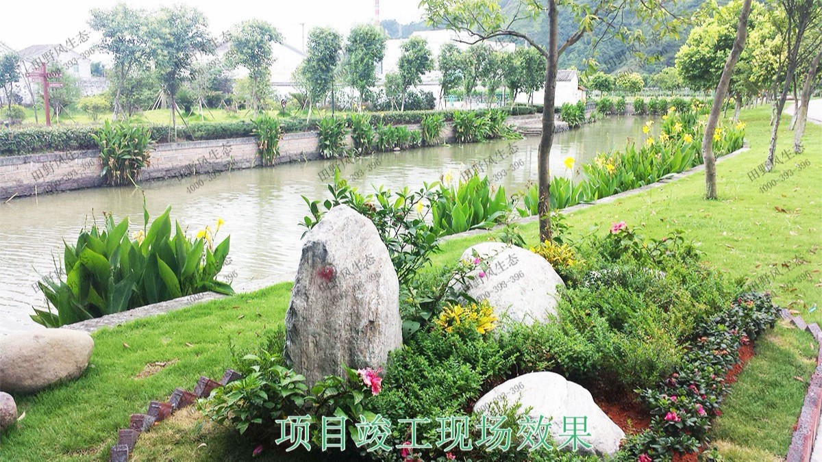 深圳茅洲河生態(tài)河道邊坡噴草