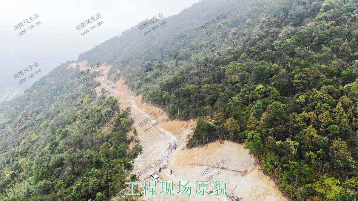 海豐蓮花山山體滑坡地質(zhì)災害邊坡噴草