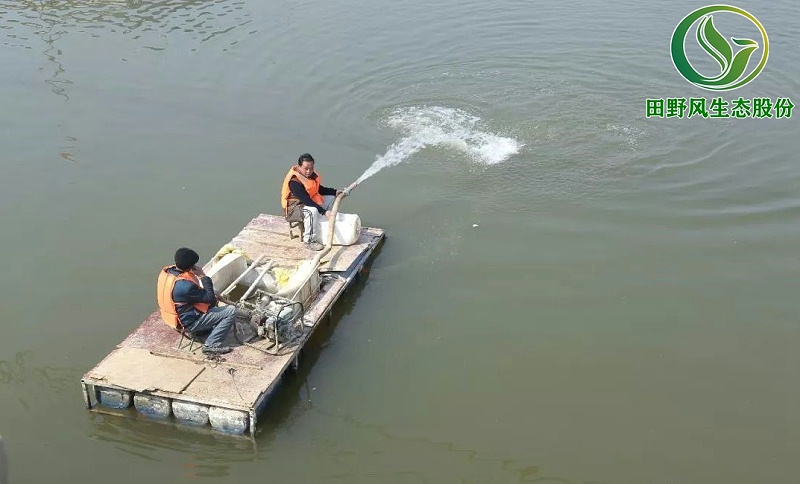 河道生態(tài)修復(fù),河道生態(tài)護(hù)坡