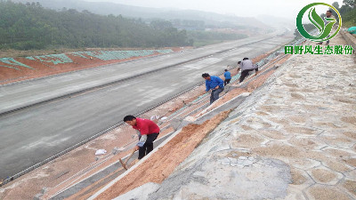 高速公路綠化，有哪些方法與竅門(mén)呢？