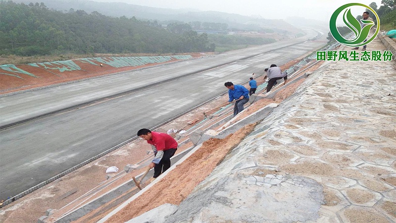 高速公路綠化,高速邊坡綠化