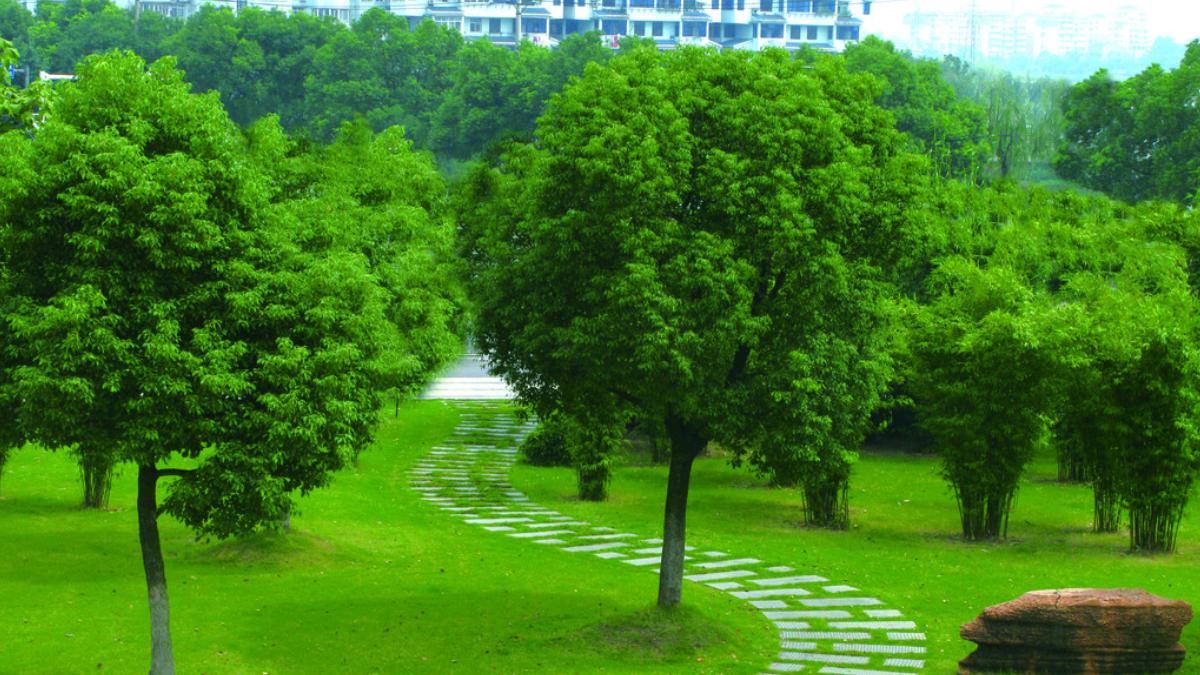 六大園林綠化實用養(yǎng)護技能，你一定要知道！