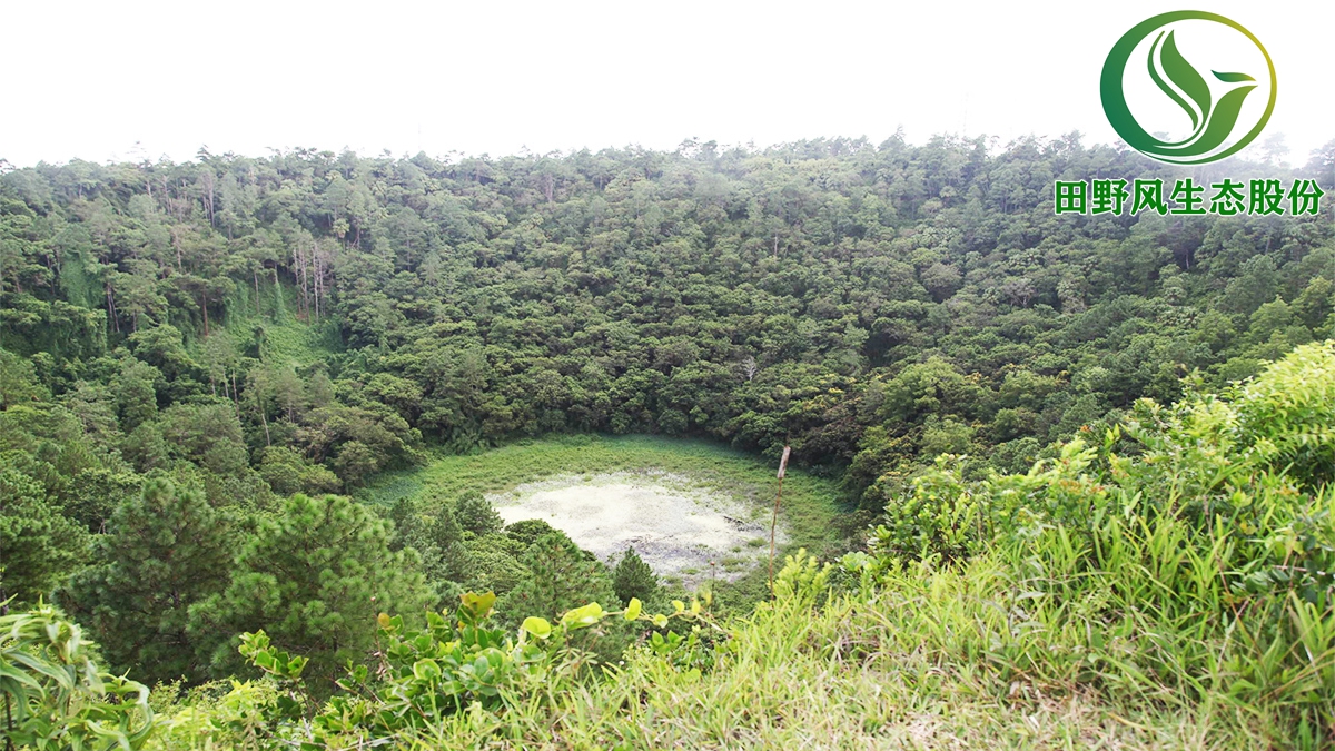 礦山生態(tài)復(fù)綠,礦山修復(fù)